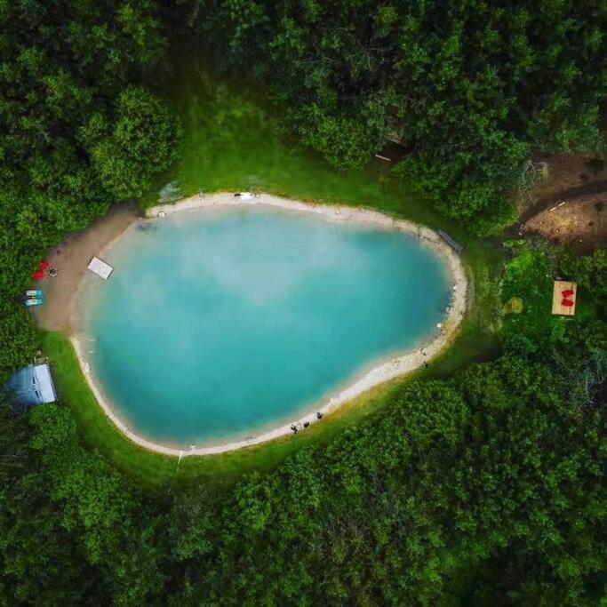 A Rustic Cabin In The Woods ออเรนจ์วิลล์ ภายนอก รูปภาพ