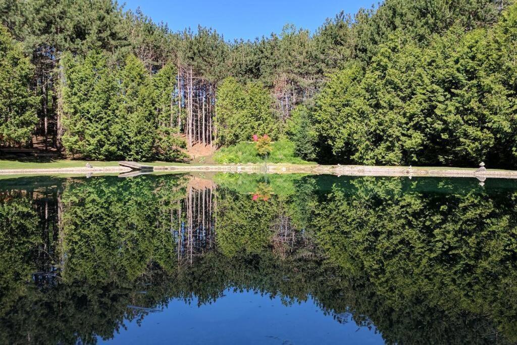 A Rustic Cabin In The Woods ออเรนจ์วิลล์ ภายนอก รูปภาพ