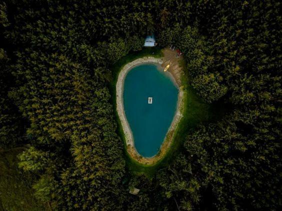 A Rustic Cabin In The Woods ออเรนจ์วิลล์ ภายนอก รูปภาพ